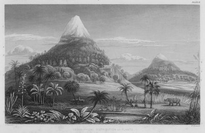 Distribuzione Geografica delle Piante da J. (after) Stewart