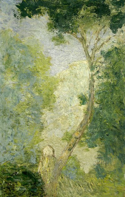 (Paesaggio) da J. Alden Weir