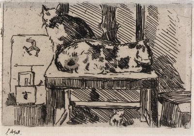 Gatti Manx - Isola di Man da J. Alden Weir