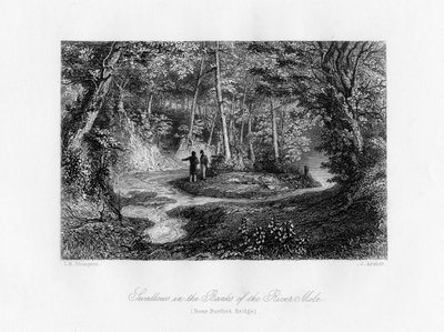 Rondini sulle rive del fiume Mole, Surrey, XIX secolo da J. Archer