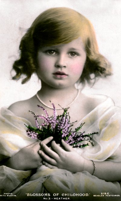 Fiori dell