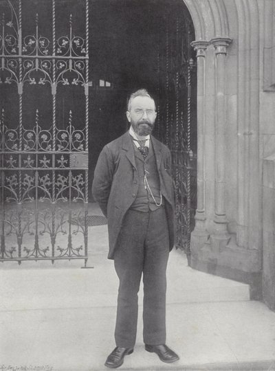 Mr. T. M. Healy da J. Benjamin Stone