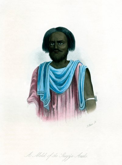 Un Melik degli arabi Shegyia, c1840 da J. Bull