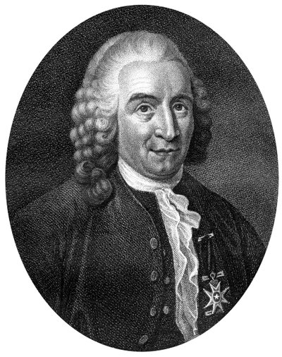 Carolus Linnaeus, botanico, medico e zoologo svedese del XVIII secolo da J. Chapman
