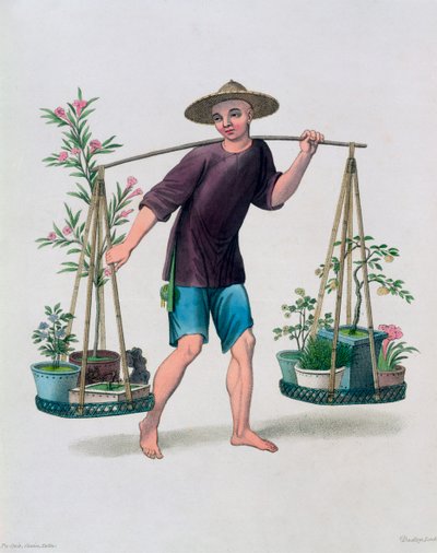 Un portatore con alberi da frutto e fiori da J Dadley