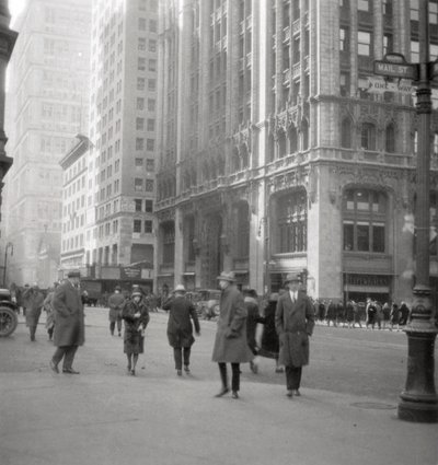 Lower Broadway, New York City, USA, XX secolo da J. Dearden Holmes