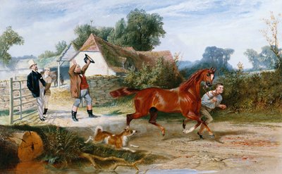 Vendita a un gentiluomo: un movimento elegante da J. F. Walker