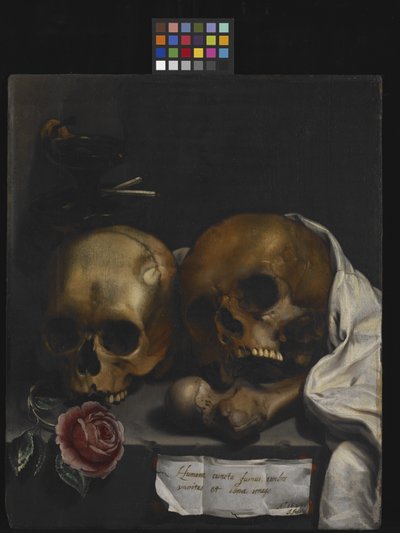 Natura morta vanitas da J Falk