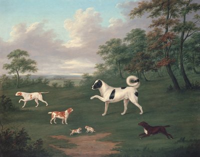 Cani da caccia in un paesaggio da J. Francis Sartorius