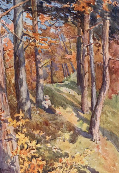 Nella foresta di Sauvabelin, sopra Losanna da J. Hardwicke Lewis