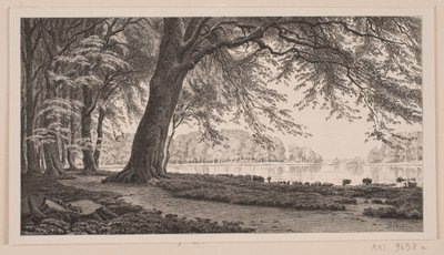Pomeriggio di primavera al lago Fuglesang nel Dyrehaven da J. Hildebrand