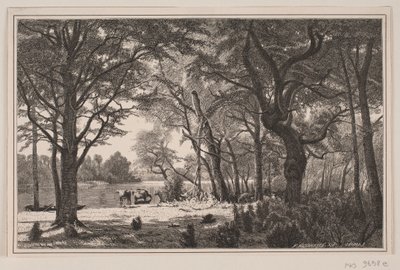Paesaggio forestale dello Jutland da J. Hildebrand