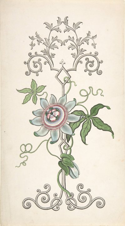 Progetto per decorazione di pannelli centrata su un fiore della passione da J Hulme