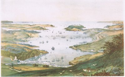 Porto di Falmouth da J. Lynn