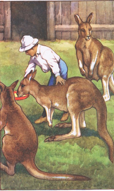 Ragazzo australiano, dai poster scolastici MacMillan, c.1950-60 da J. Macfarlane