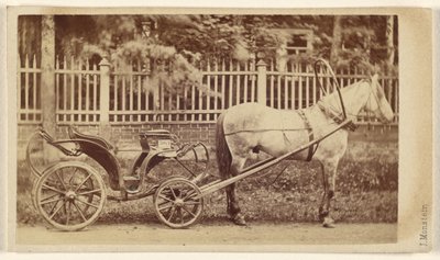 [Piccola carrozza con cavallo] da J. Monstein