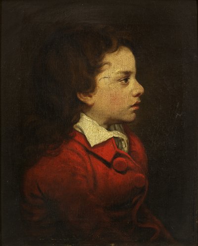 Il figlio dell