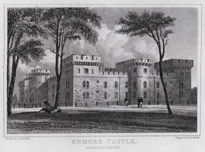 Castello di Enmore, Somersetshire da John Preston Neale