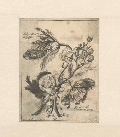 Fiori legati con un nastro da J. Porteret