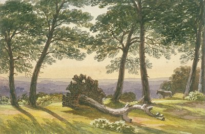 Hampstead Heath, Londra da J Powell