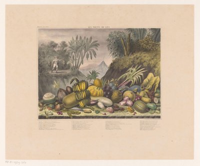 Frutti giavanesi da J. Schnell