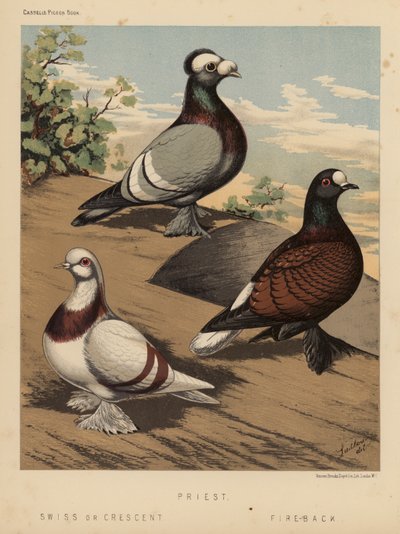 Piccioni: Priest; Swiss or Crescent; Fire-Back da J. W. (after) Ludlow