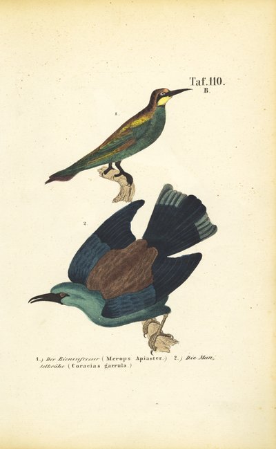  da J. W. Tenhaeff