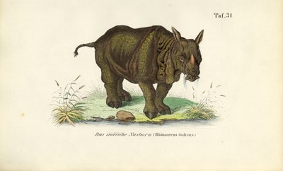 da J. W. Tenhaeff