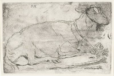 Capra sdraiata da Jabes Heenck (signed by artist)