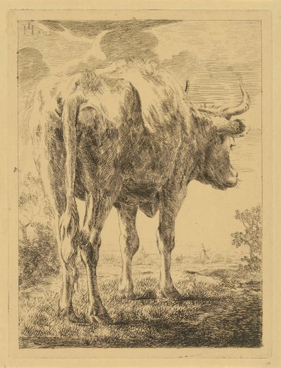 Mucca in un paesaggio da Jabes Heenck