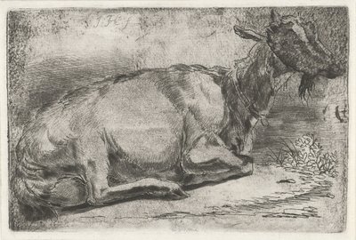 Capra sdraiata da Jabes Heenck