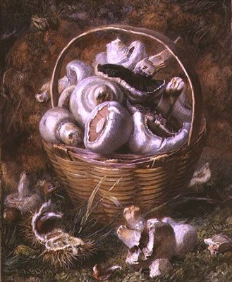 Funghi da Jabez Bligh