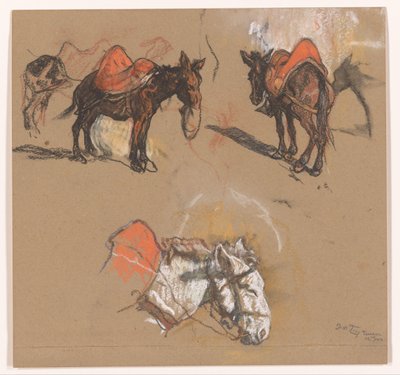 Studi di asini e un mulo nel Grote Markt a Tangeri da Jac van Looij (signed by artist)