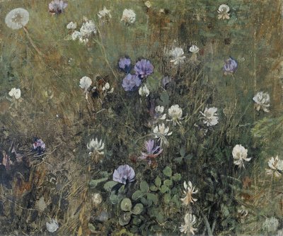 Trifoglio in fiore da Jac van Looij
