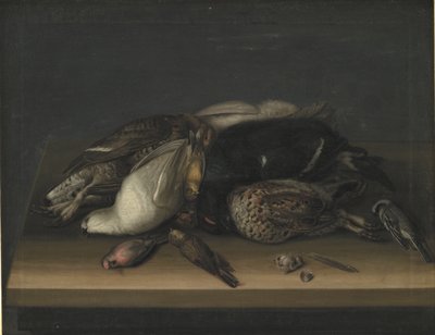 Uccelli selvatici su un tavolo di legno da Jacob Biltius