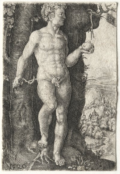 Adamo da Jacob Binck