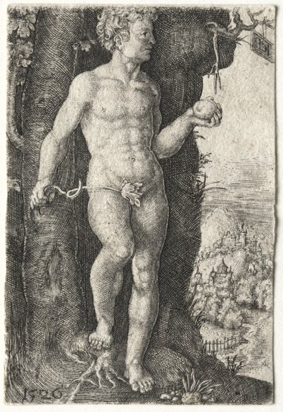 Adamo, 1526 da Jacob Binck