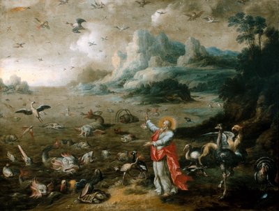 La genesi: creazione degli uccelli e dei pesci da Jacob Bouttats
