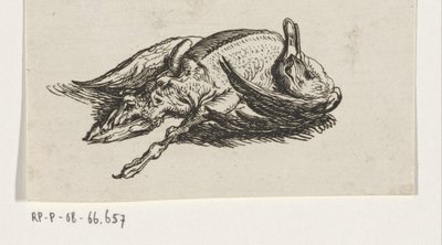 Anatra morta da Jacob Elias van Varelen