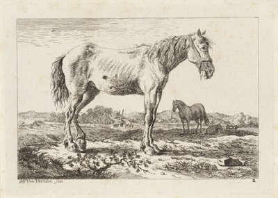 Cavallo in piedi in un paesaggio da Jacob Elias van Varelen