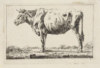 Bue in piedi, verso sinistra da Jacob Elias van Varelen