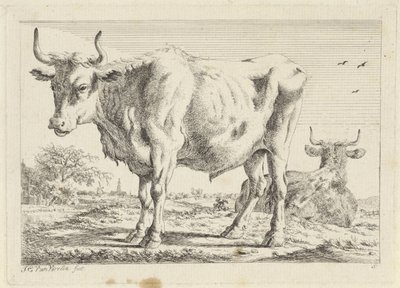 Bue in piedi e sdraiato da Jacob Elias van Varelen
