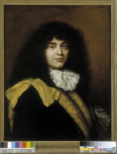 Ritratto di un uomo con una fascia gialla da Jacob Ferdinand Voet