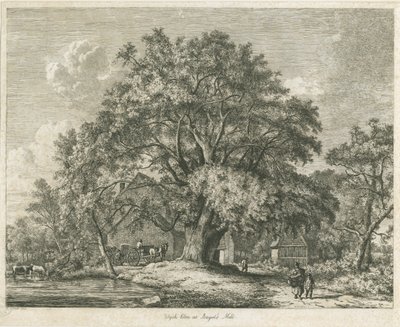 Blithfield - Wych Elm, 1825 da Jacob George Strutt