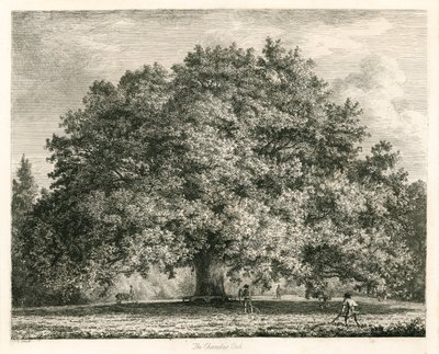 La quercia di Chandos, Michendon House, Southgate, Londra da Jacob George Strutt