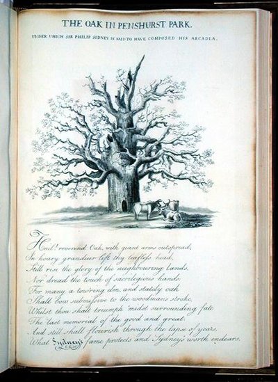 La quercia nel parco di Penshurst da Jacob George Strutt