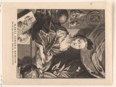 Ritratto di Maria Sibylla Merian da Jacob Houbraken