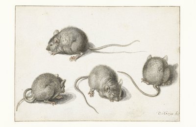 Quattro studi di un topo malato da Jacob II de Gheyn