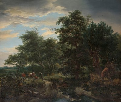 Scena di foresta da Jacob van Ruisdael