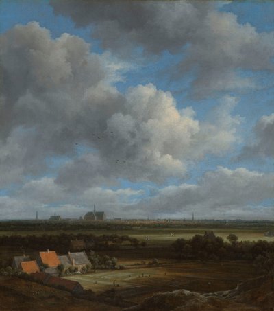 Veduta di Haarlem da nord-ovest, con i campi di candeggio in primo piano da Jacob van Ruisdael
